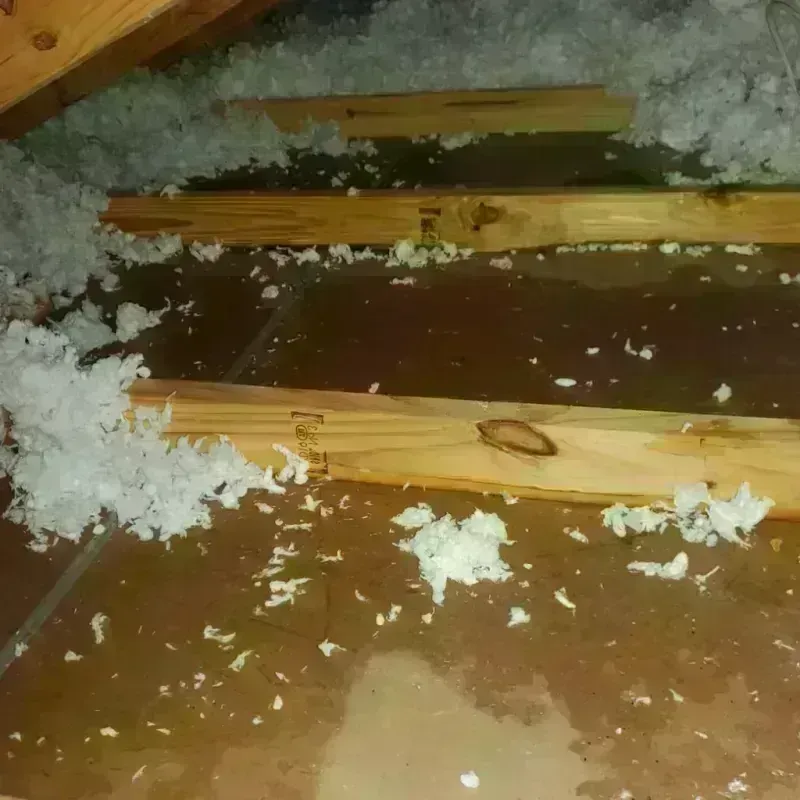 Attic Water Damage in Loughman, FL