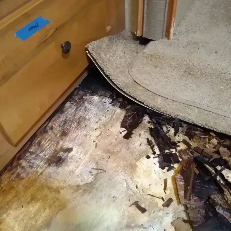 Wood Floor Water Damage in Loughman, FL